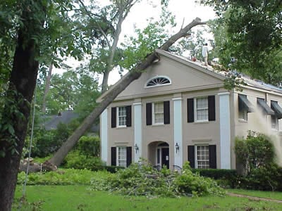 Trees fall on homes quite a bit.
